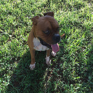 Meet your Posher, Gerardo